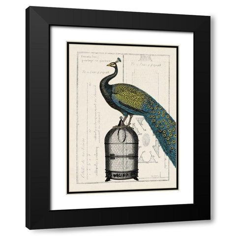Peacock Birdcage II Black Modern Wood Framed Art Print with Double Matting by Wild Apple Portfolio