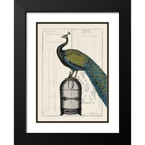 Peacock Birdcage II Black Modern Wood Framed Art Print with Double Matting by Wild Apple Portfolio
