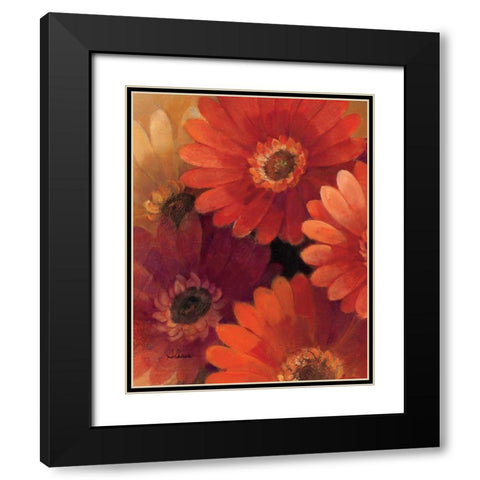 Garden of Gerberas II Black Modern Wood Framed Art Print with Double Matting by Hristova, Albena