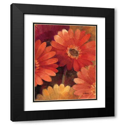 Garden of Gerberas III Black Modern Wood Framed Art Print with Double Matting by Hristova, Albena