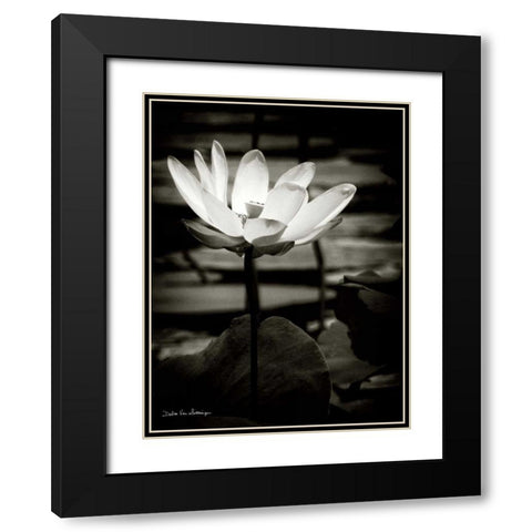 Lotus Flower VIII Black Modern Wood Framed Art Print with Double Matting by Van Swearingen, Debra
