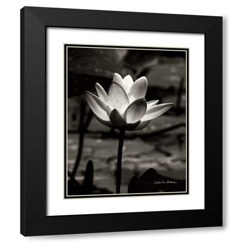Lotus Flower VII Black Modern Wood Framed Art Print with Double Matting by Van Swearingen, Debra