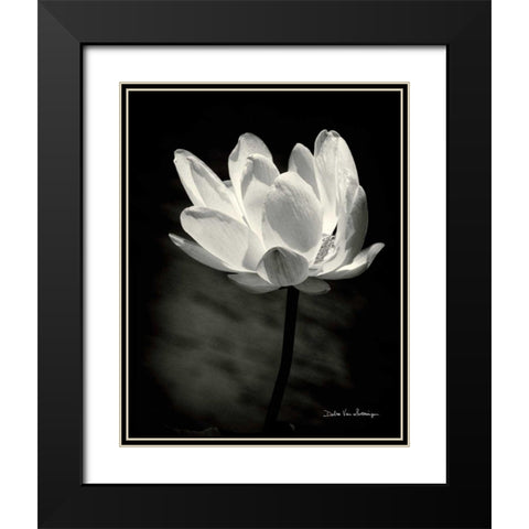 Lotus Flower X Black Modern Wood Framed Art Print with Double Matting by Van Swearingen, Debra