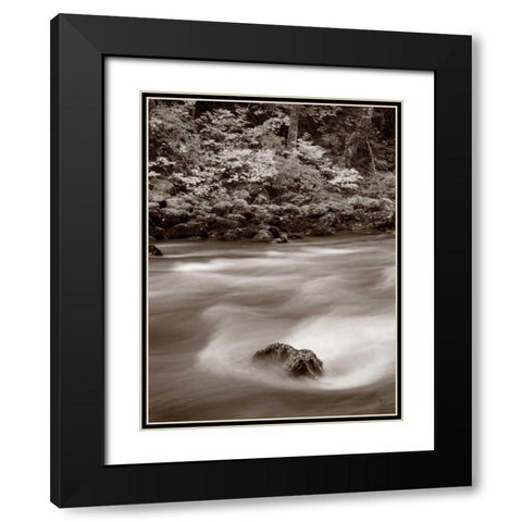 Nooksack River North Cascades Black Modern Wood Framed Art Print with Double Matting by Audit, Lisa