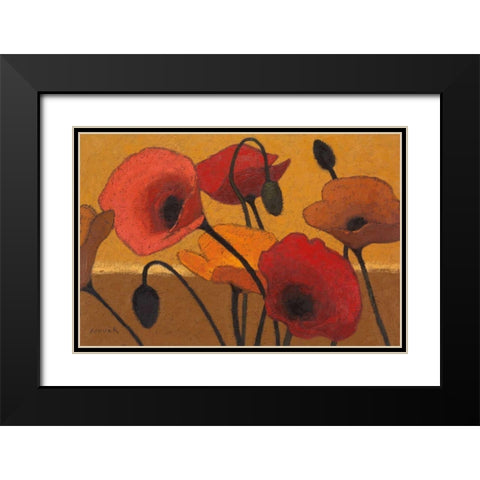 Poppy Curry III Black Modern Wood Framed Art Print with Double Matting by Novak, Shirley