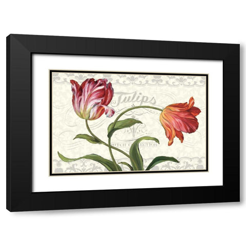 Tulipa Botanica I Cream Black Modern Wood Framed Art Print with Double Matting by Audit, Lisa