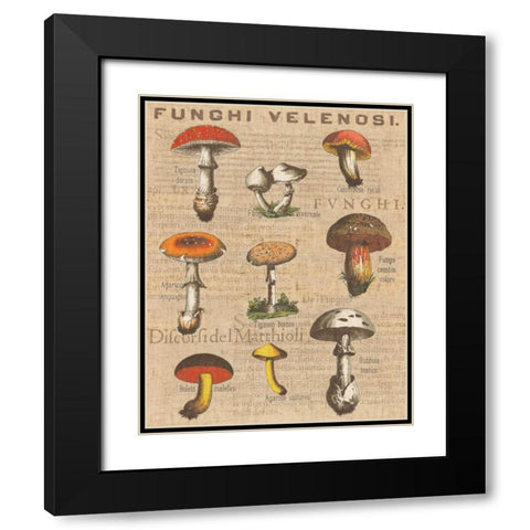 Funghi Velenosi I Black Modern Wood Framed Art Print with Double Matting by Wild Apple Portfolio