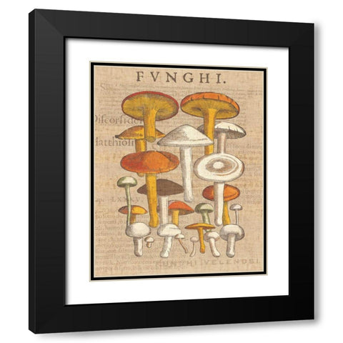 Funghi Velenosi II Black Modern Wood Framed Art Print with Double Matting by Wild Apple Portfolio
