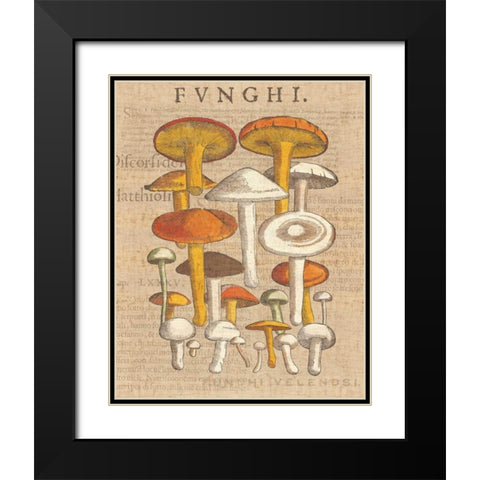 Funghi Velenosi II Black Modern Wood Framed Art Print with Double Matting by Wild Apple Portfolio