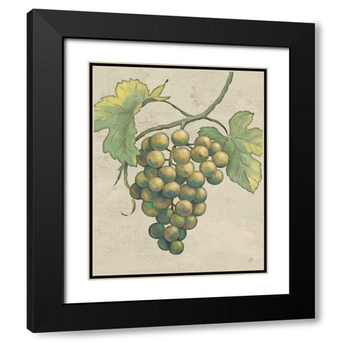 Lovely Fruits IV Neutral Plain Black Modern Wood Framed Art Print with Double Matting by Brissonnet, Daphne