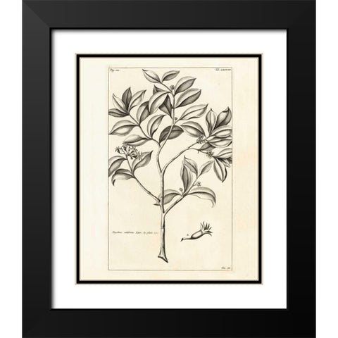 Tropical Leaf Study I Black Modern Wood Framed Art Print with Double Matting by Wild Apple Portfolio