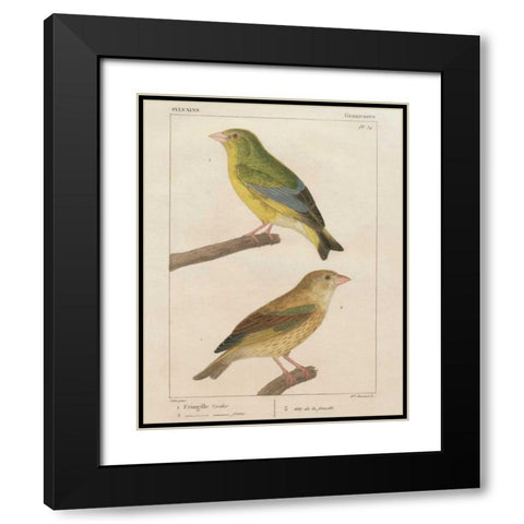 Sylvains I Black Modern Wood Framed Art Print with Double Matting by Wild Apple Portfolio