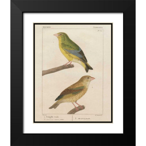 Sylvains I Black Modern Wood Framed Art Print with Double Matting by Wild Apple Portfolio