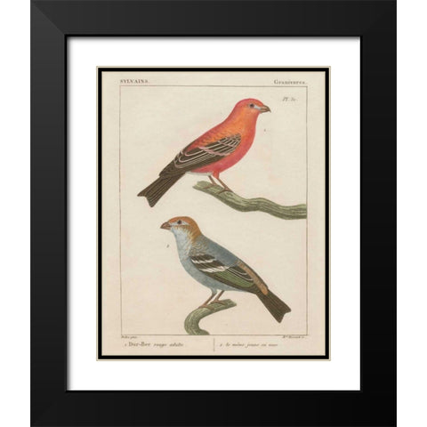 Sylvains II Black Modern Wood Framed Art Print with Double Matting by Wild Apple Portfolio