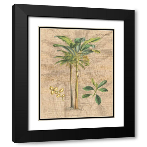 Palm Study I Black Modern Wood Framed Art Print with Double Matting by Wild Apple Portfolio