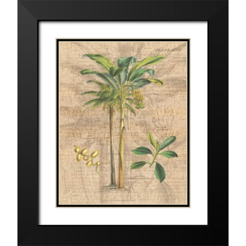 Palm Study I Black Modern Wood Framed Art Print with Double Matting by Wild Apple Portfolio