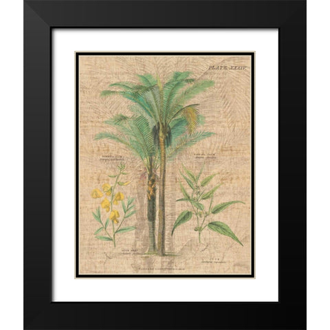 Palm Study II Black Modern Wood Framed Art Print with Double Matting by Wild Apple Portfolio