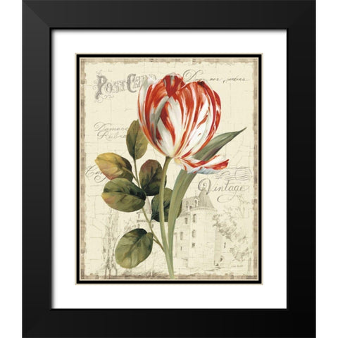 Garden View II - Red Tulip Black Modern Wood Framed Art Print with Double Matting by Audit, Lisa
