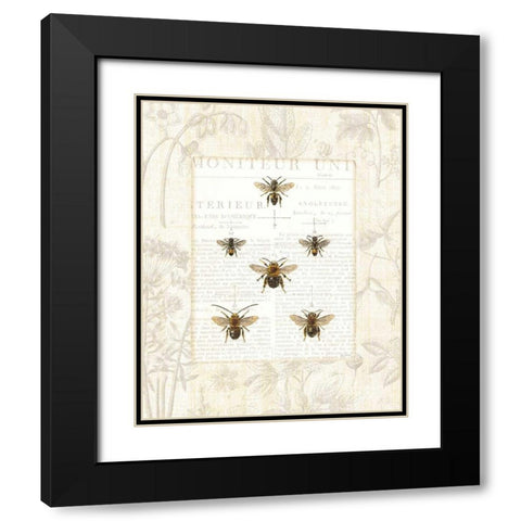 Bee Botanical Black Modern Wood Framed Art Print with Double Matting by Schlabach, Sue