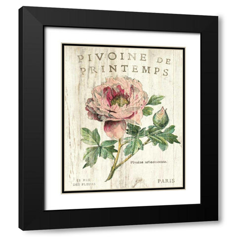 Pivoine de Printemps Black Modern Wood Framed Art Print with Double Matting by Schlabach, Sue