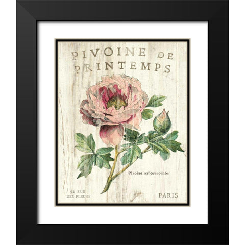 Pivoine de Printemps Black Modern Wood Framed Art Print with Double Matting by Schlabach, Sue