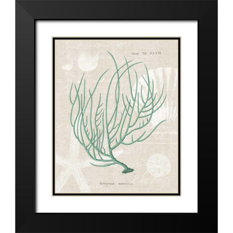 Gorgonia Miniacea on Linen Sea Foam Black Modern Wood Framed Art Print with Double Matting by Wild Apple Portfolio