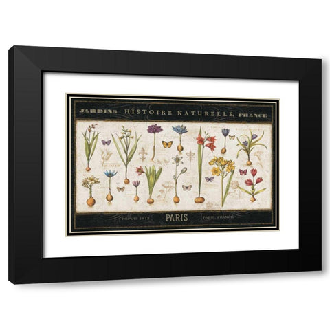 Histoire Naturelle I Black Modern Wood Framed Art Print with Double Matting by ERR, Pela
