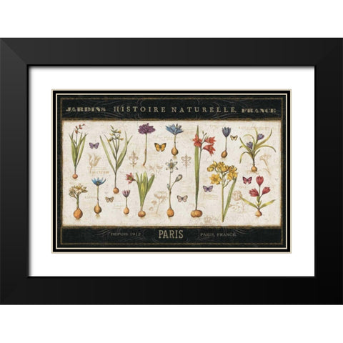Histoire Naturelle I Black Modern Wood Framed Art Print with Double Matting by ERR, Pela