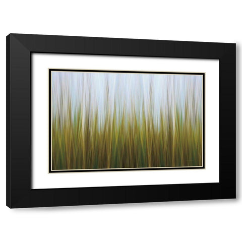 Sea Grass Canvas Black Modern Wood Framed Art Print with Double Matting by Gendreau, Katherine