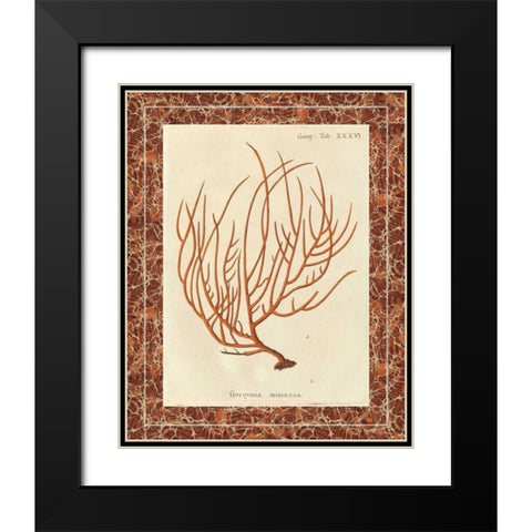 Gorgonia Miniacea Marble Black Modern Wood Framed Art Print with Double Matting by Wild Apple Portfolio