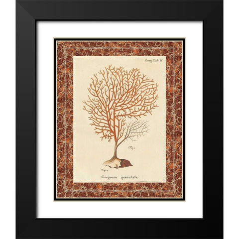 Gorgonia Granulata Marble Black Modern Wood Framed Art Print with Double Matting by Wild Apple Portfolio