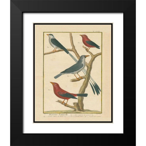 Bird Drawing III Black Modern Wood Framed Art Print with Double Matting by Wild Apple Portfolio