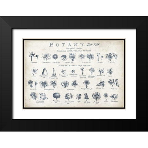 Botany Tab VIII Indigo and White Black Modern Wood Framed Art Print with Double Matting by Wild Apple Portfolio