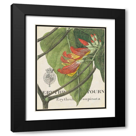 Botanique Tropicale I Black Modern Wood Framed Art Print with Double Matting by Wild Apple Portfolio