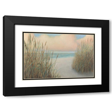 Beach Trail I Black Modern Wood Framed Art Print with Double Matting by Wiens, James