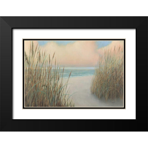 Beach Trail I Black Modern Wood Framed Art Print with Double Matting by Wiens, James