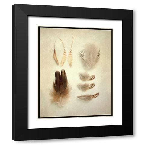 Feathers II Black Modern Wood Framed Art Print with Double Matting by Urquhart, Elizabeth