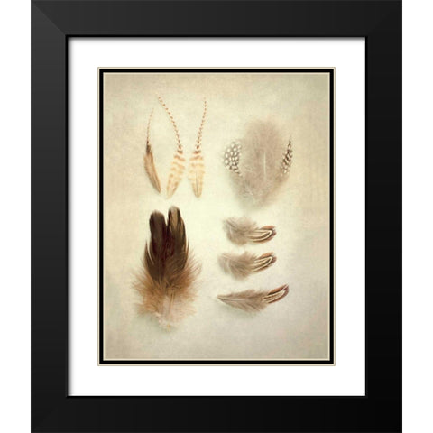 Feathers II Black Modern Wood Framed Art Print with Double Matting by Urquhart, Elizabeth
