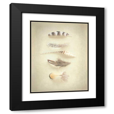 Feathers III Black Modern Wood Framed Art Print with Double Matting by Urquhart, Elizabeth
