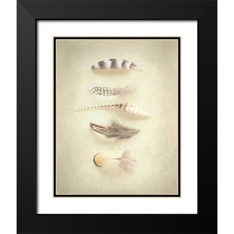 Feathers III Black Modern Wood Framed Art Print with Double Matting by Urquhart, Elizabeth