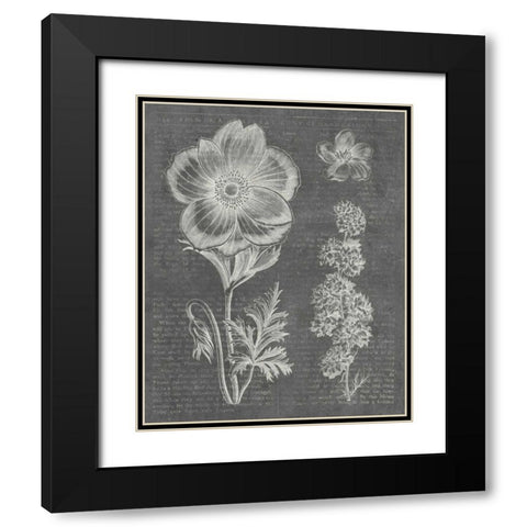 Eden Spring I Gray Black Modern Wood Framed Art Print with Double Matting by Wild Apple Portfolio