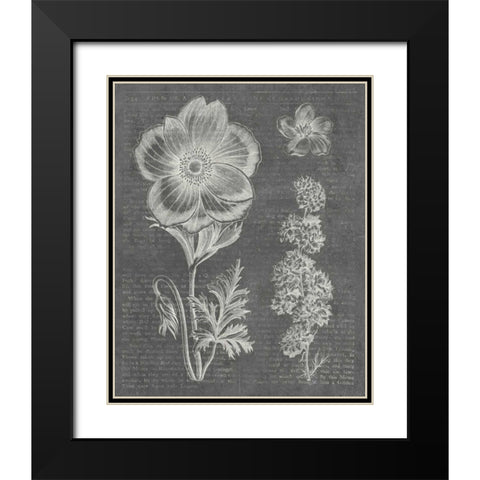 Eden Spring I Gray Black Modern Wood Framed Art Print with Double Matting by Wild Apple Portfolio