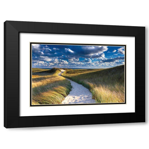 Philbin Beach Path Black Modern Wood Framed Art Print with Double Matting by Gendreau, Katherine