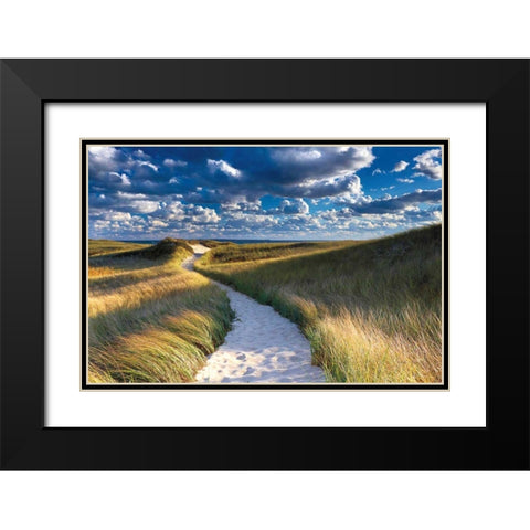 Philbin Beach Path Black Modern Wood Framed Art Print with Double Matting by Gendreau, Katherine
