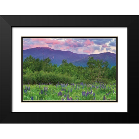 Layer Cake Black Modern Wood Framed Art Print with Double Matting by Gendreau, Katherine