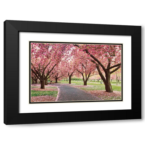 Cherry Parade Black Modern Wood Framed Art Print with Double Matting by Gendreau, Katherine