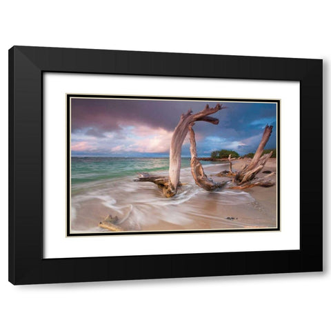 Driftwood Sunset Black Modern Wood Framed Art Print with Double Matting by Gendreau, Katherine