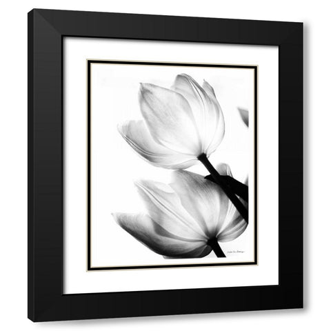 Translucent Tulips II no border Black Modern Wood Framed Art Print with Double Matting by Van Swearingen, Debra