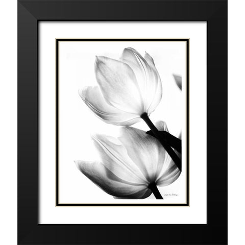 Translucent Tulips II no border Black Modern Wood Framed Art Print with Double Matting by Van Swearingen, Debra