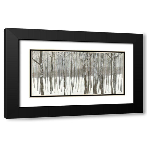 Woods in Winter  Black Modern Wood Framed Art Print with Double Matting by Lovell, Kathrine